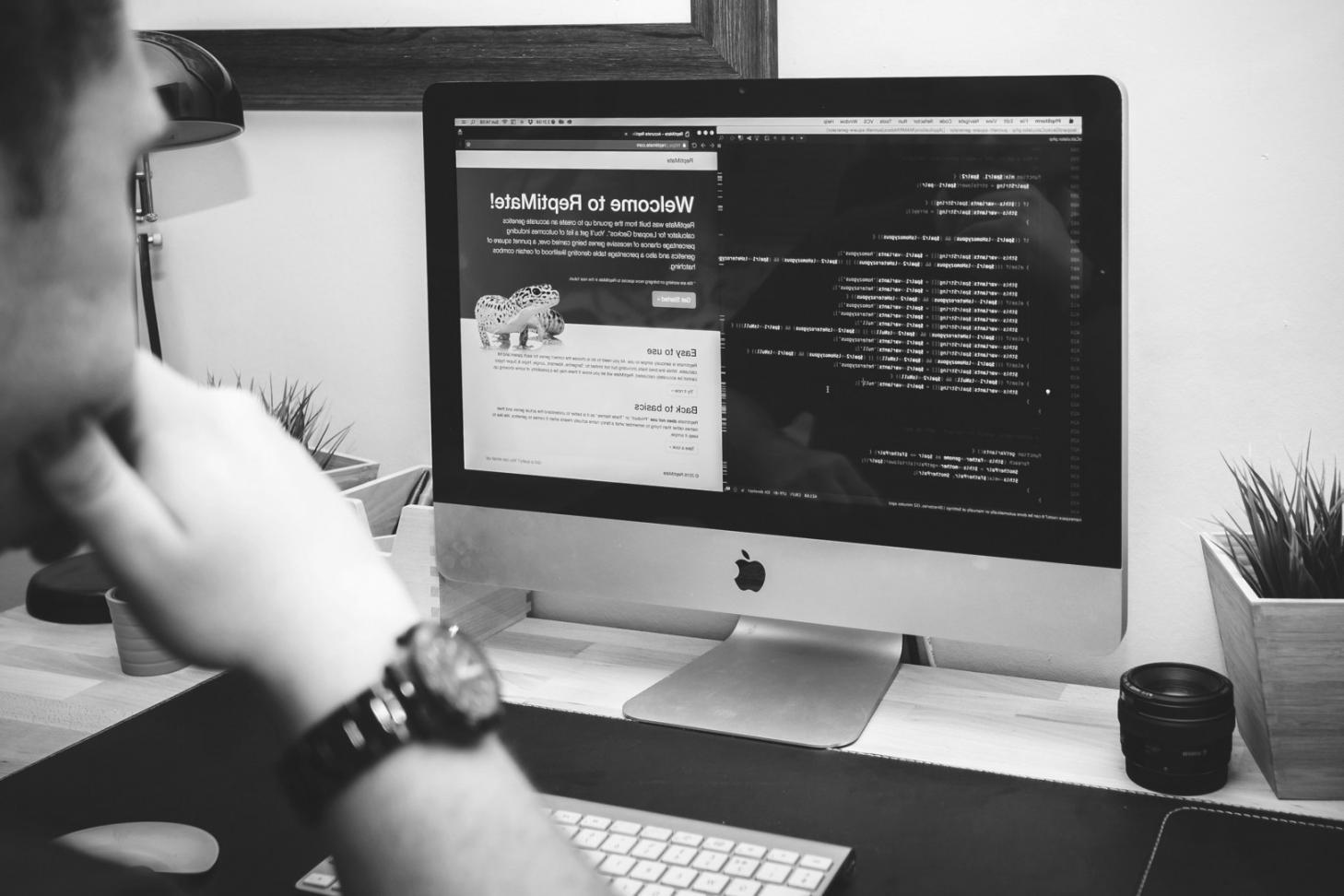 量的分析の可視化データ